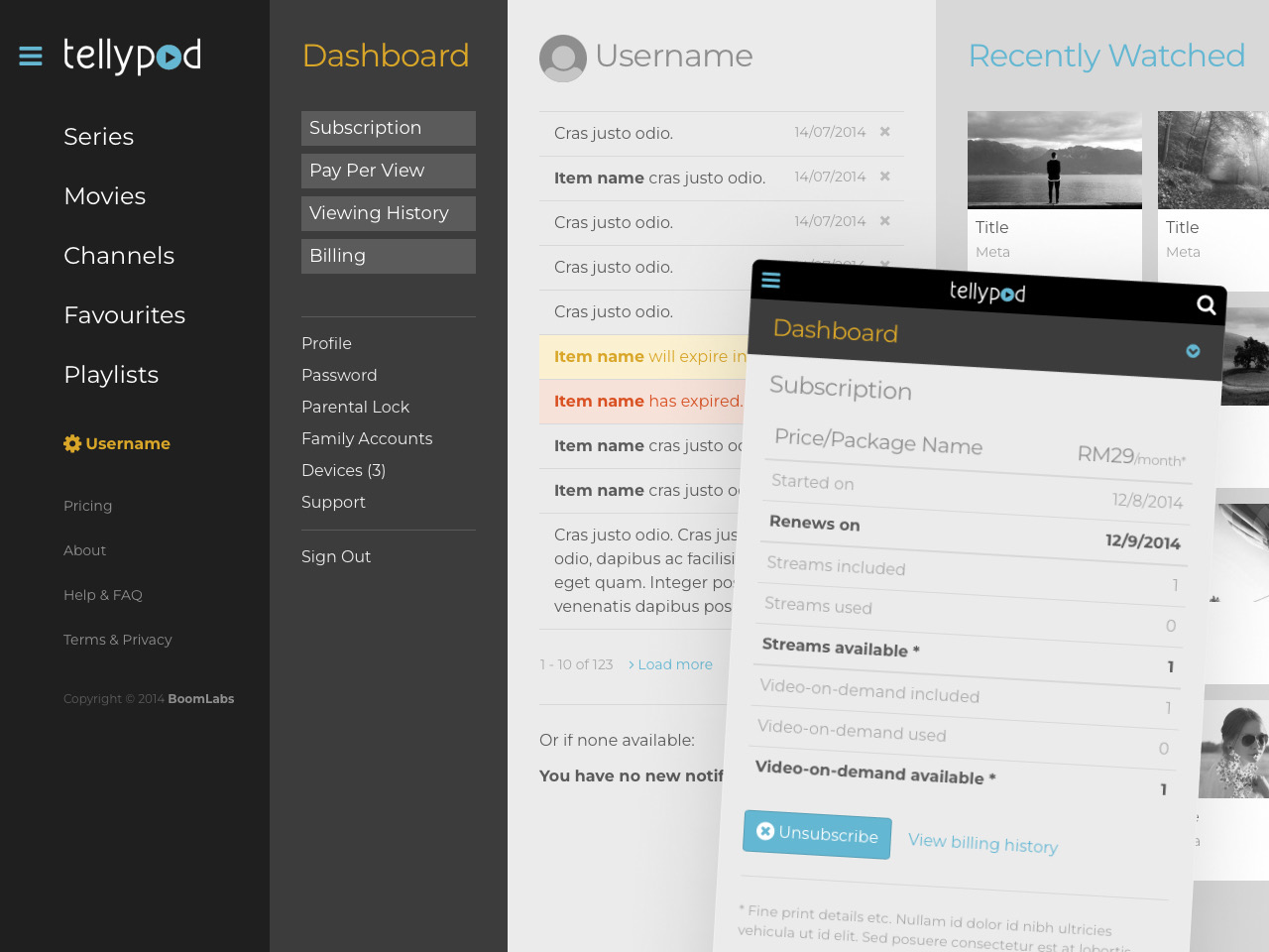 Tellypod user dashboard