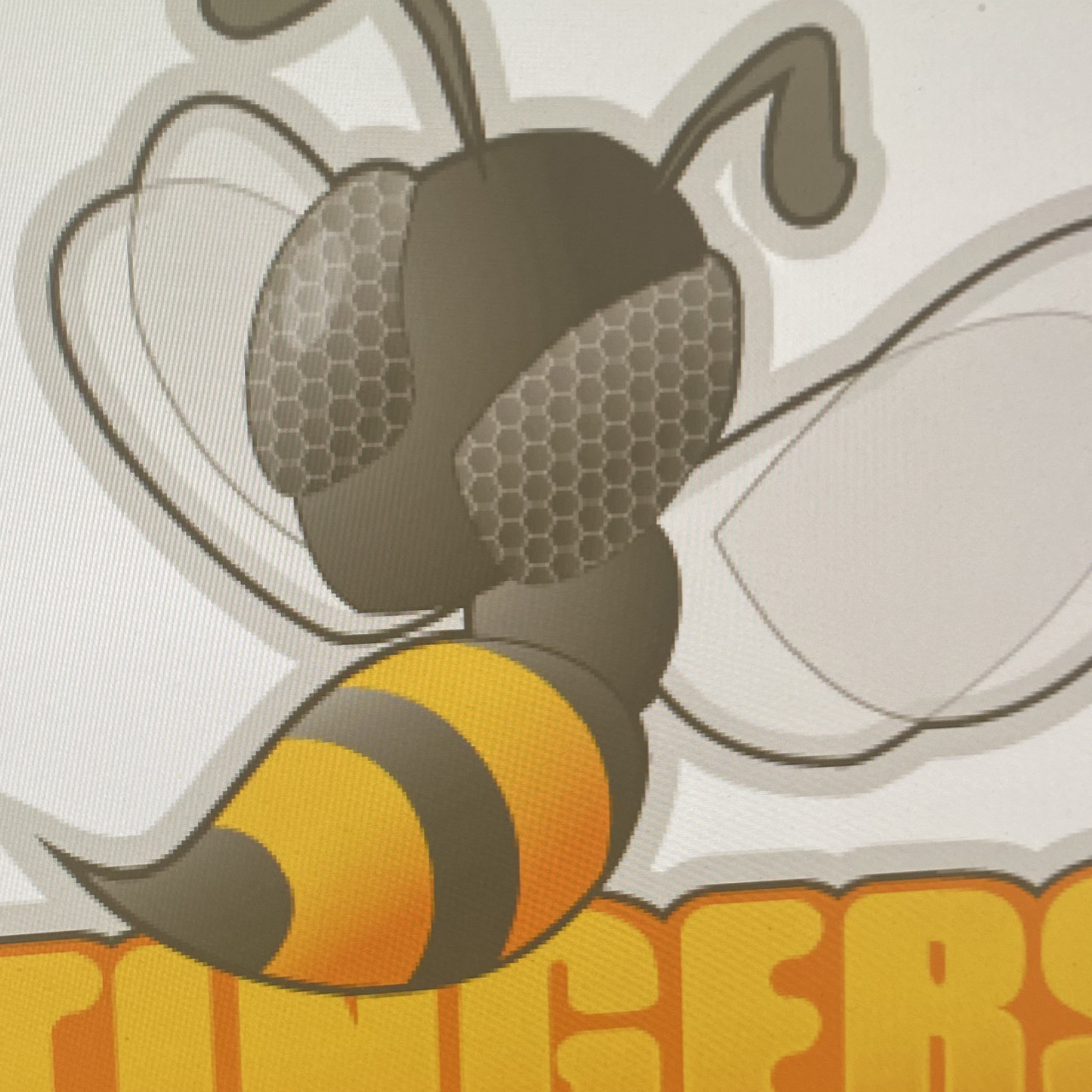 Stingers logo closeup one