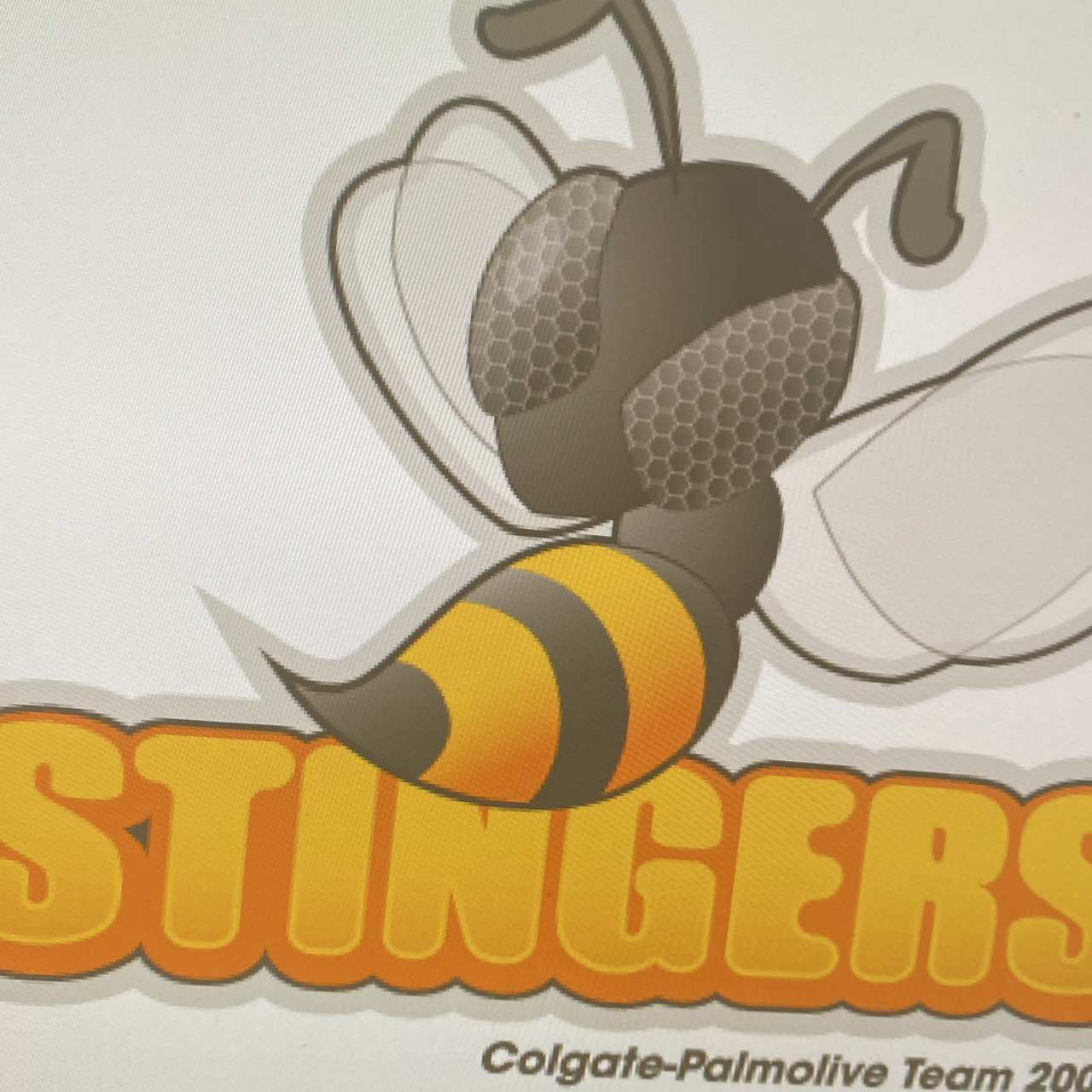 Stingers logo closeup two